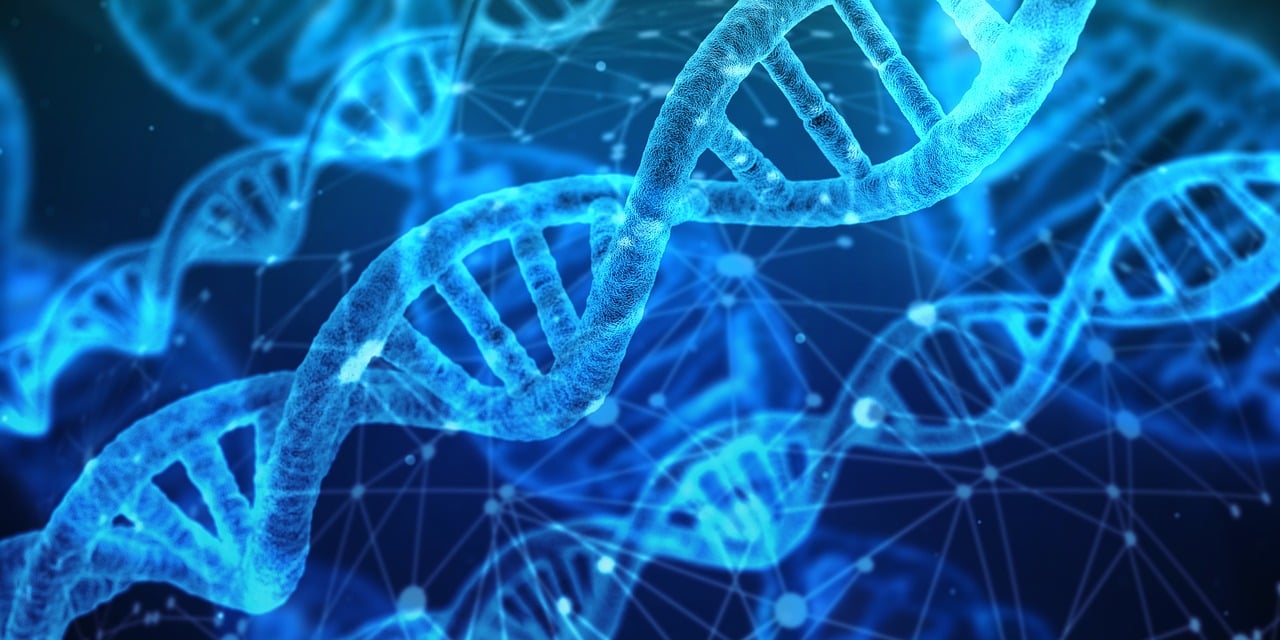 Welche technologischen Innovationen werden 2024 unser Leben verändern?