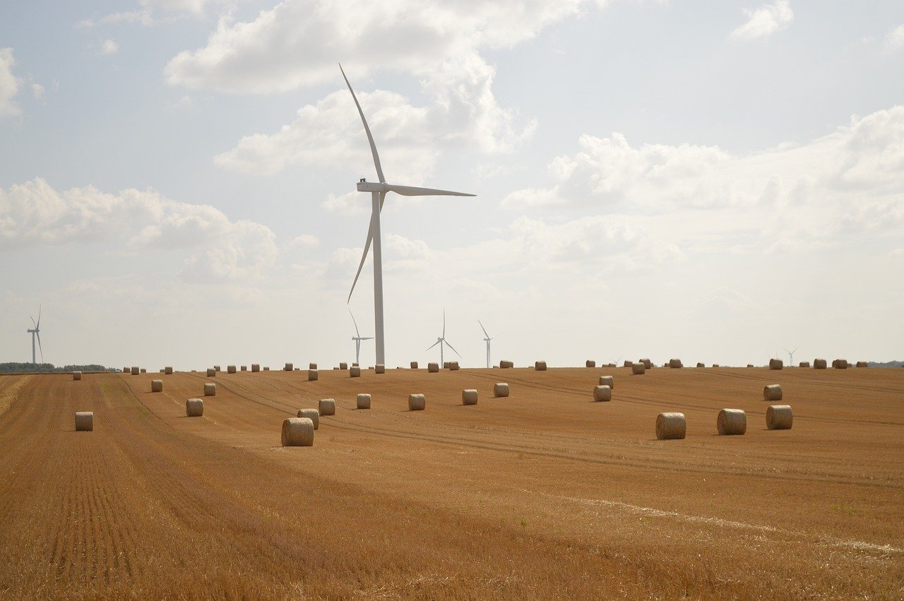 Wie kann man klimafreundlich investieren?