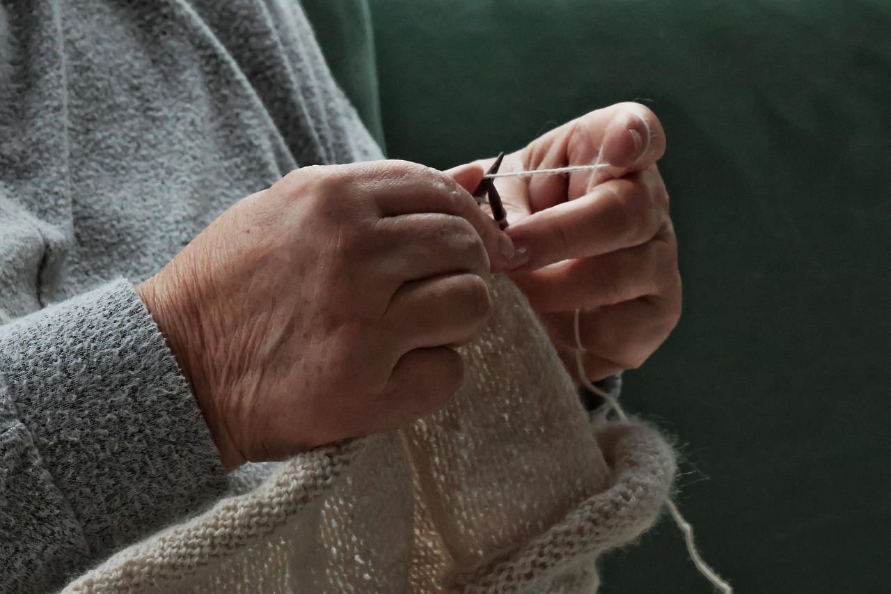 embark knit, hobby, leisure time, woman, wool, knitting needles, fashion, lifestyle, handwork