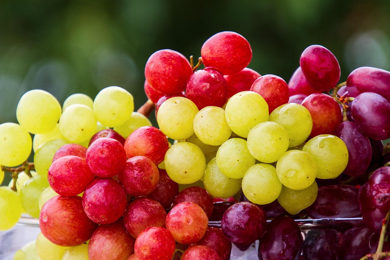 entdecken sie unsere hochwertigen bio-produkte – nachhaltig, umweltfreundlich und frei von schädlichen zusätzen. perfekt für eine gesunde und bewusste lebensweise. jetzt bio-qualität erleben!