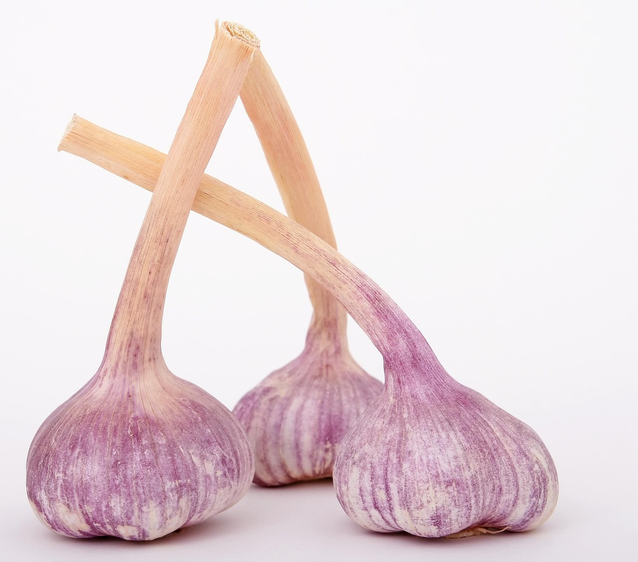 entdecken sie die faszinierende welt der gewürze! erfahren sie alles über herkunft, verwendung und kulinarische tipps für aromatische und exotische gewürze, die ihre gerichte verfeinern.