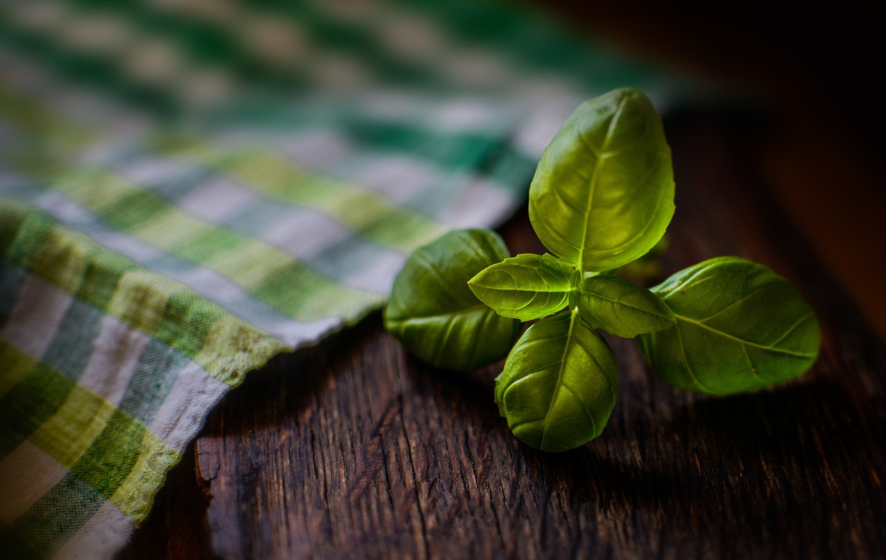 entdecken sie gesunde kochrezepte und tipps für eine ausgewogene ernährung. unsere anleitungen helfen ihnen, leckere und nährstoffreiche mahlzeiten einfach zuzubereiten.